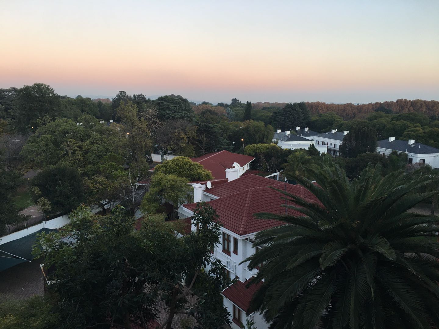 疫情下在南非约翰内斯堡的生活：居家隔离与工作难题