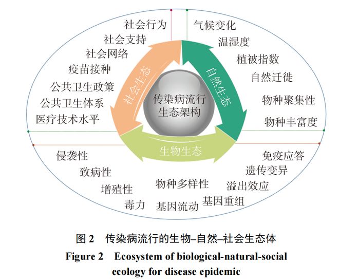 新冠疫情_新冠疫情活动规律_新冠周期性感染高峰