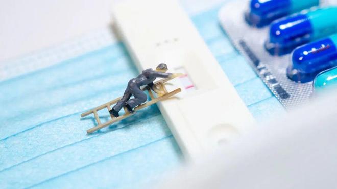 新冠疫情_新冠疫情活动规律_新冠周期性感染高峰