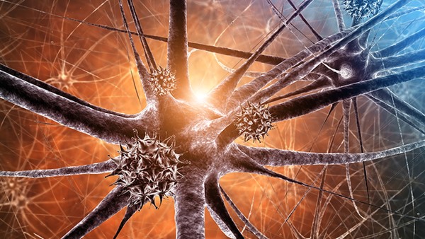 新冠肺炎的治疗可以选择中医药吗？中医对于新冠疫情的预防有什么建议？