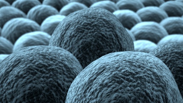 新冠疫情期间如何做好个人预防？新冠病毒的传播途径是什么？